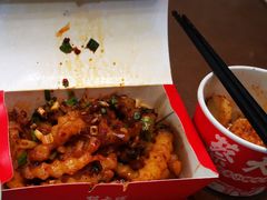 -蔡大胖炸洋芋(神仙树缤纷店)