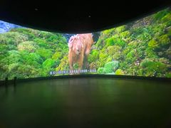 -诸城市恐龙博物馆