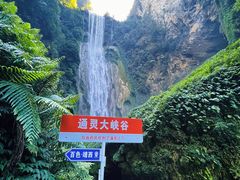 -通灵大峡谷
