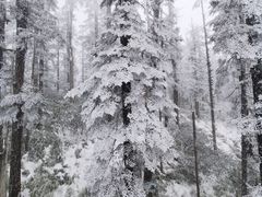 -瓦屋山景区