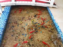 -雅逸居海鲜小厨