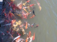 -襄阳烈士陵园(襄城区)