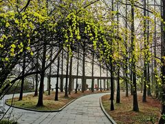 -成都南湖公园