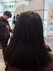 点击看大图 -YESIDO椰岛造型
