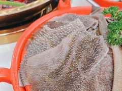 -二荆条·城市森林火锅旗舰店