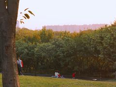-飞凤山奥体公园