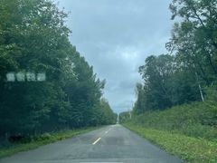 -五营国家森林公园