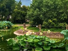 -国家植物园南园