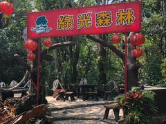 -绿光森林餐厅