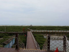 android_upload_pic-北海金海湾红树林生态旅游区