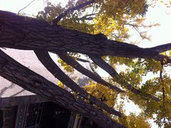 iphone_upload_pic-迎泽公园