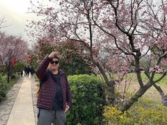 -太湖好灶头土菜馆(石公路店)