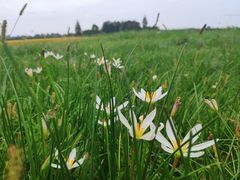 -中国天府农业博览园