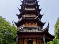 -红梅公园