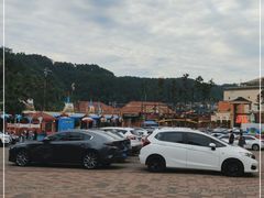 -重庆海昌加勒比海水世界