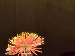 -月芽·自由餐厅·西溪湿地餐厅