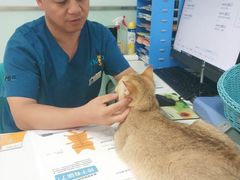 -纳吉亚猫专科动物医院博雅分院