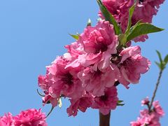 -北京金海湖景区