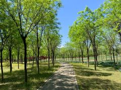 -东郊湿地公园