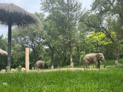 -北京野生动物园