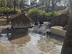 -珠海海泉湾神秘岛亲子乐园