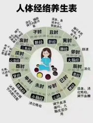 -香薇妮丝·定制减肥·身材管理