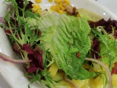 摩根主厨沙拉-摩根扒房(桐梓林店)