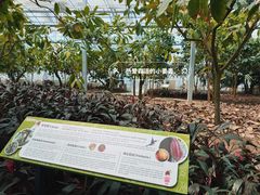 -歌斐颂巧克力小镇