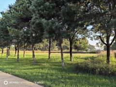 -汉长安城未央宫国家考古遗址公园