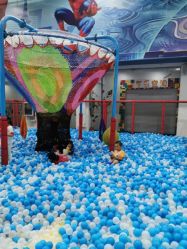 -爱丽丝奇幻乐园