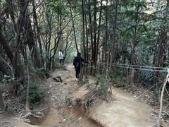 -灵岩山风景区