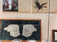 -安徽省地质博物馆