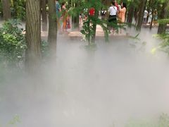 -东湖落雁景区