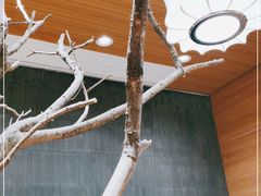 -茶颜悦色(登高路上店)