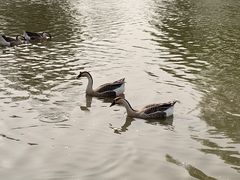 -西安浐灞国家湿地公园