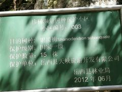 -岳西天峡风景区