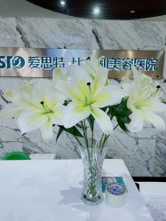 -比华利美容医院