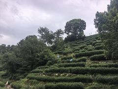 -十里琅珰