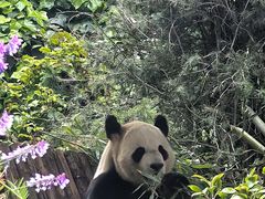 -云南野生动物园