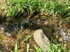 -碓臼峪自然风景区