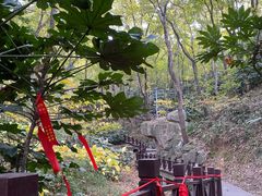 -句容茅山景区