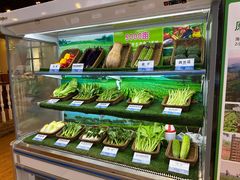 -欢乐海岸美食联盟