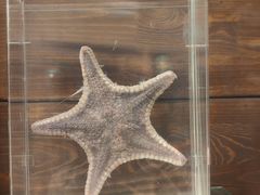 -多彩贵州城极地海洋世界