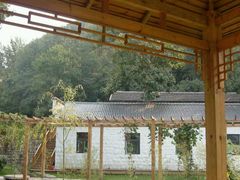 -鲁山国家森林公园