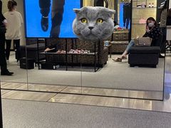 -CHANEL(恒隆广场店)