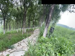 -西青郊野公园