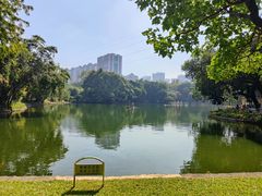 -晓港公园