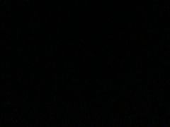 -济南喜来登酒店