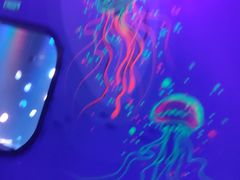 -锦艺城海洋馆