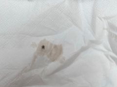 -龙达温泉生态城